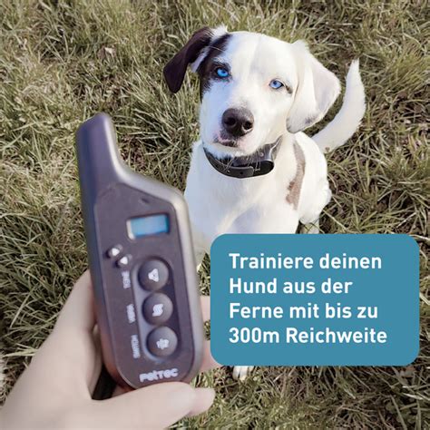 Ferntrainer für Hunde: Schonendes Training aus der。